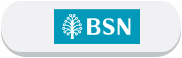 bsn logo